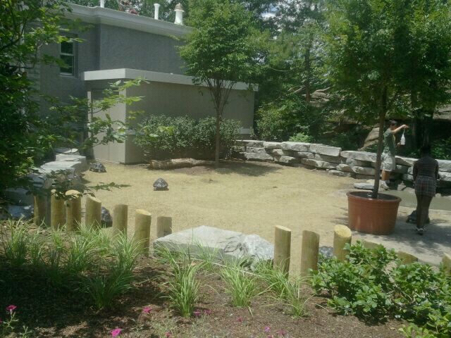 Jun. 2012-Galapagos Tortoise Encounter