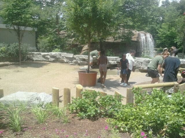 Jun. 2012-Galapagos Tortoise Encounter