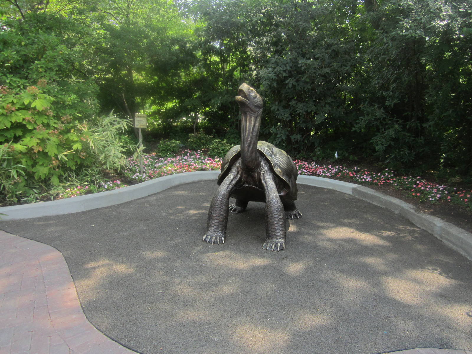 Jun. 2012-Galapagos Tortoise Statue