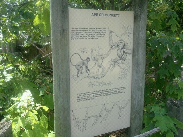 Jun. 2012-Gibbon Islands Sign