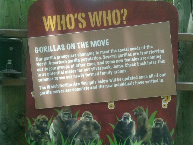 Jun. 2012-Gorilla World Sign