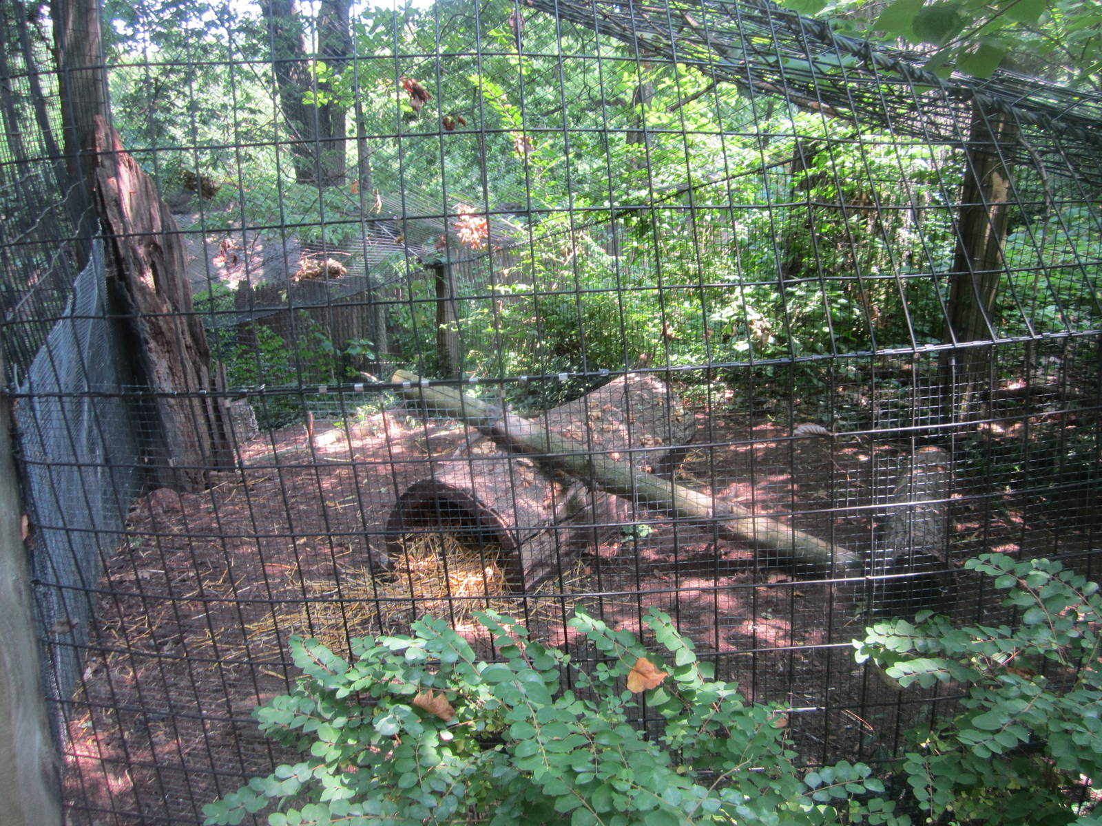 Jun. 2012-Grey Fox exhibit