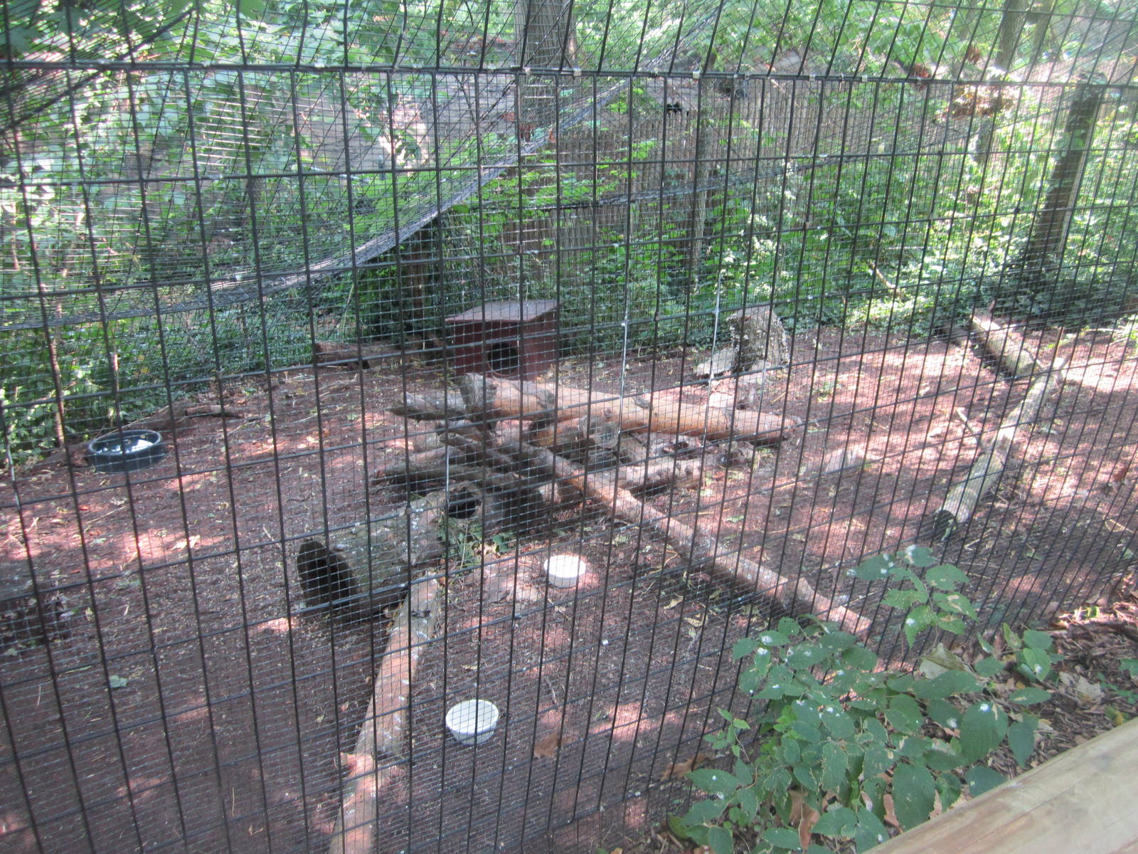 Jun. 2012-Grey Fox exhibit