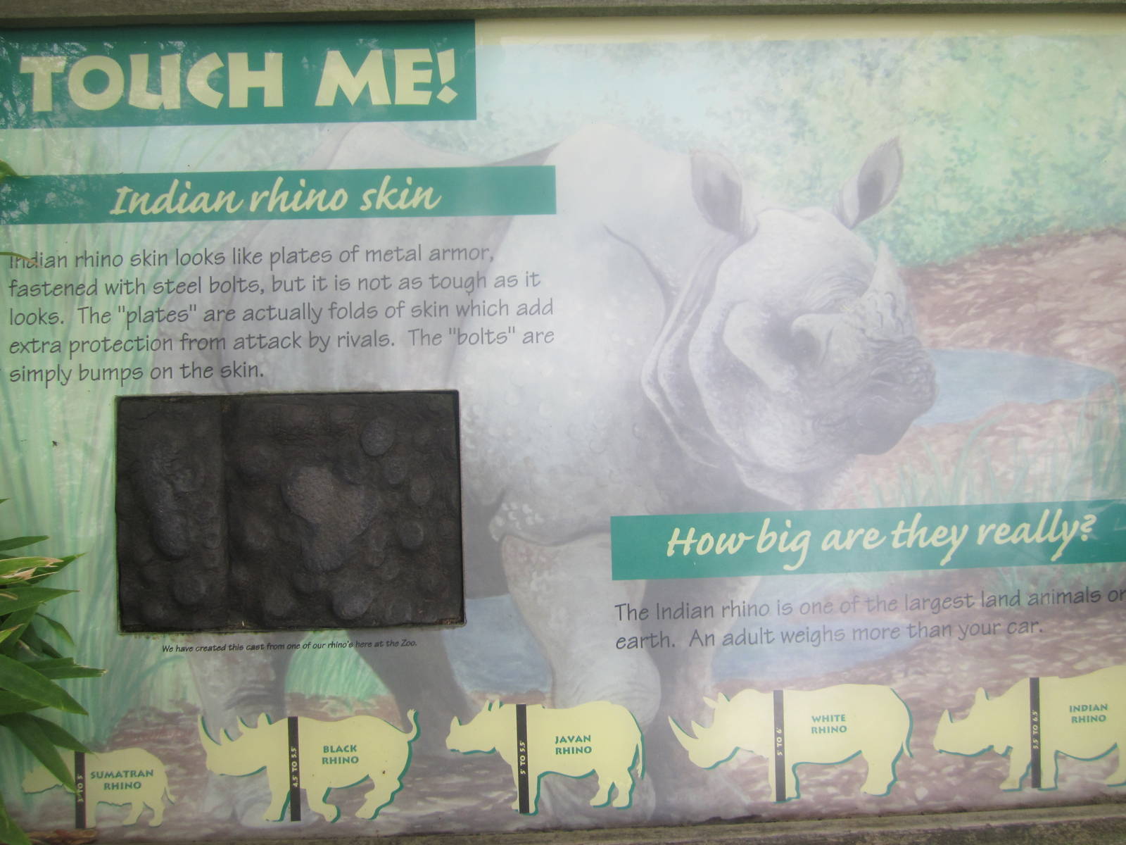 Jun. 2012-Indian Rhinoceros Interactive sign