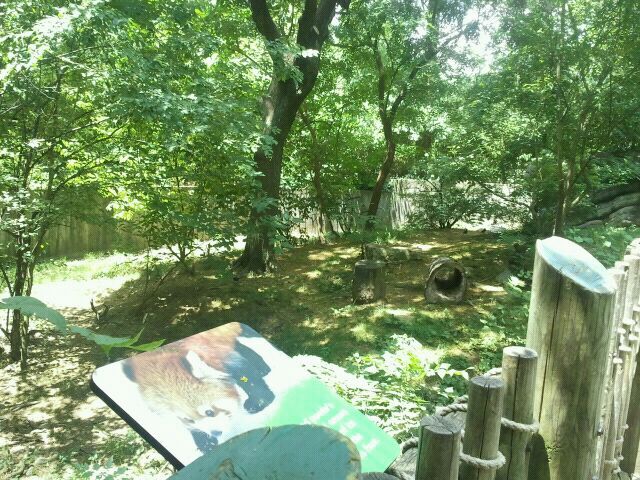 Jun. 2012-Left Red Panda exhibit