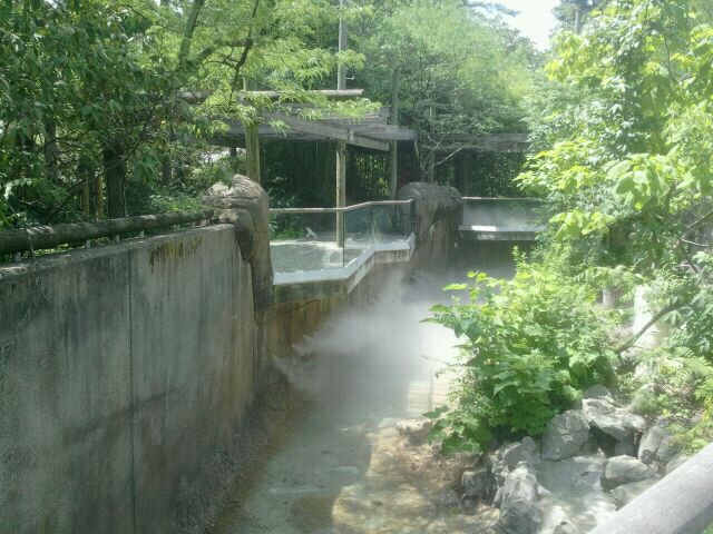 Jun. 2012-Lemur Lookout Viewing