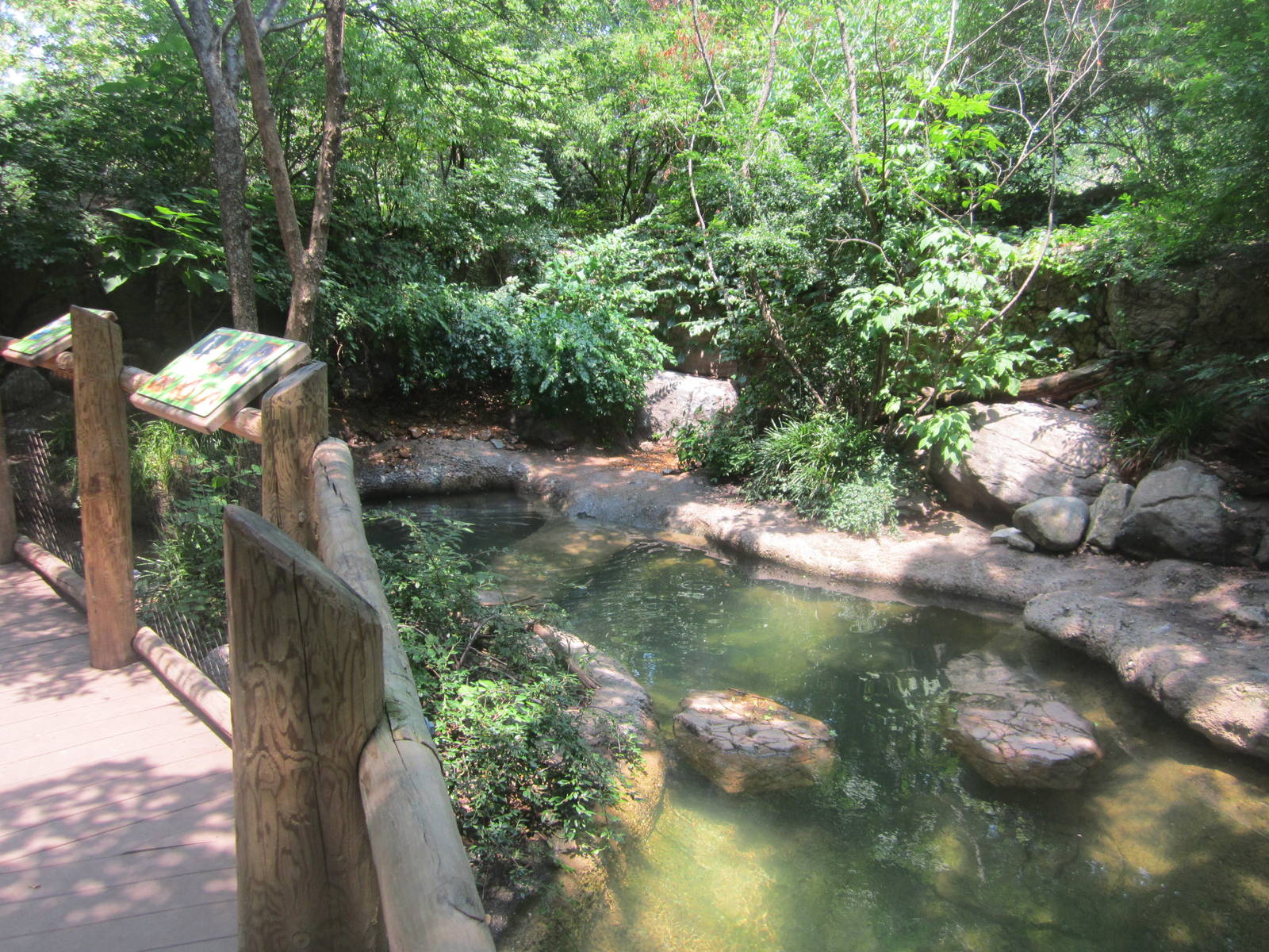 Jun. 2012-Little Penguin exhibit