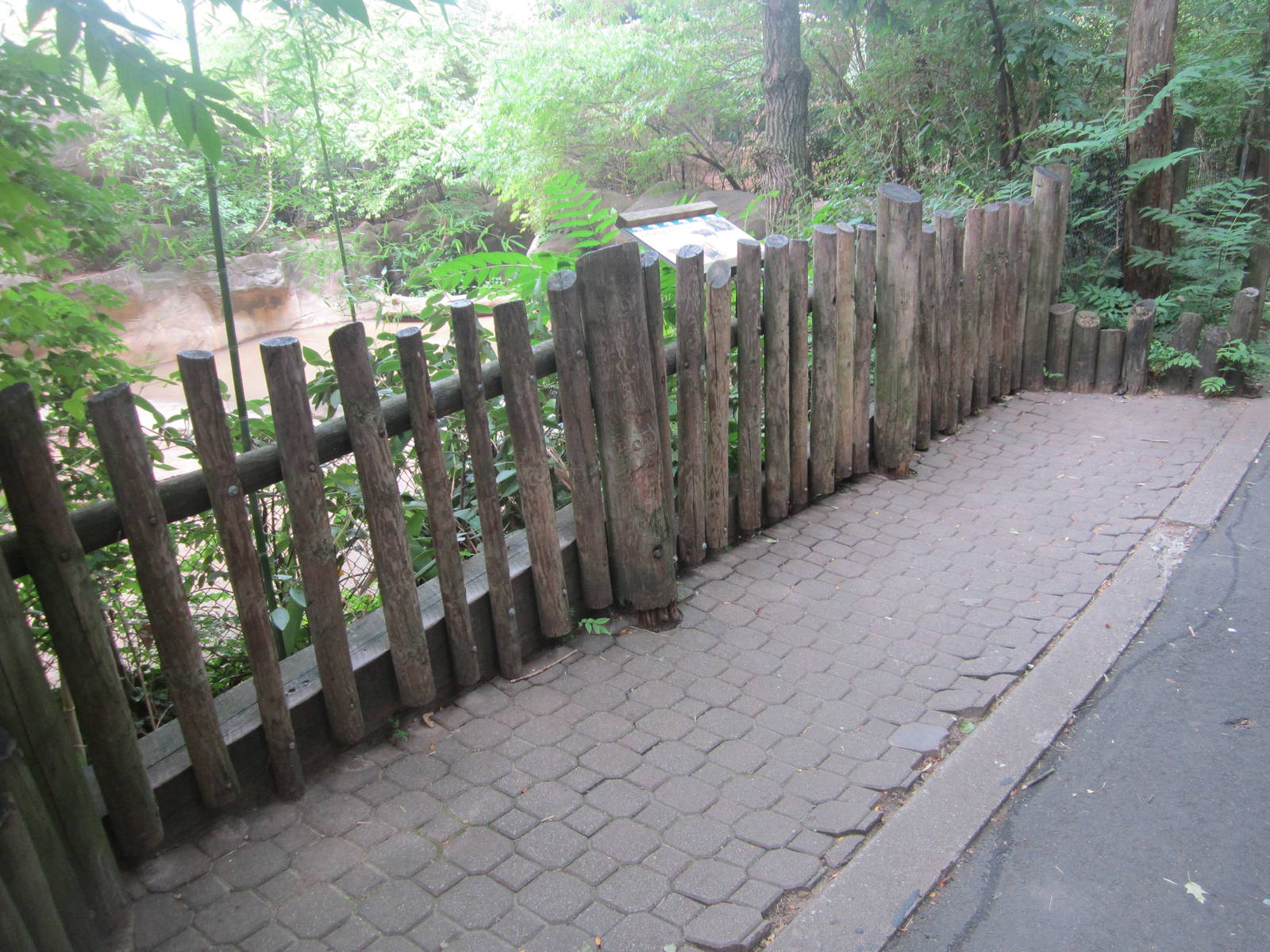 Jun. 2012-Male Sumatran Rhinoceros exhibit viewing