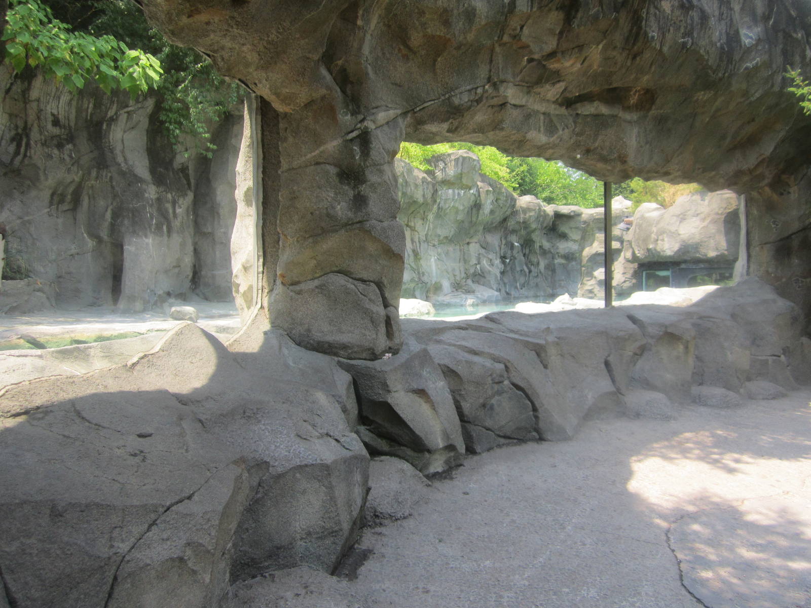 Jun. 2012-Middle Polar Bear exhibit viewing