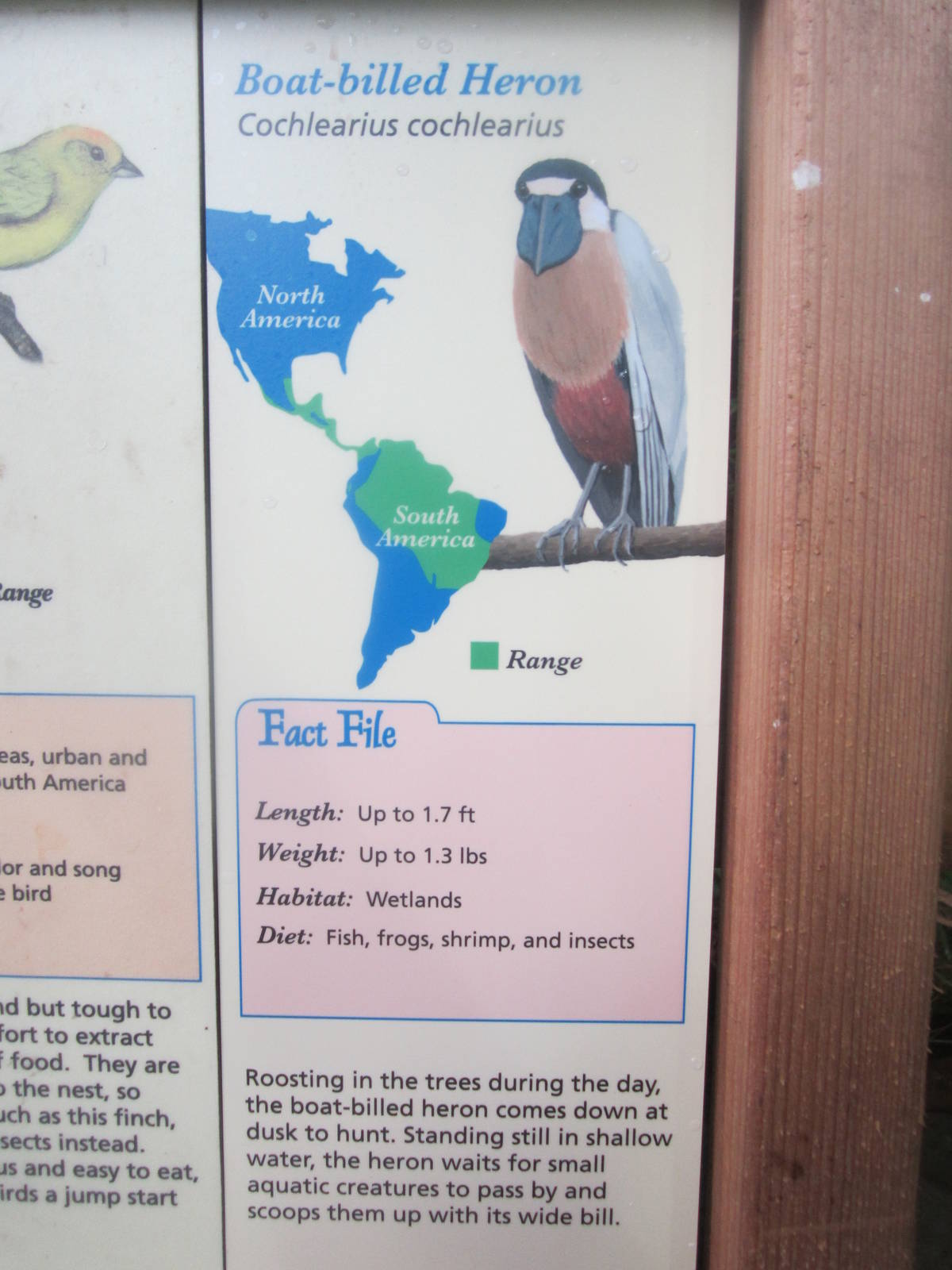 Jun. 2012-New Boat-billed Heron sign