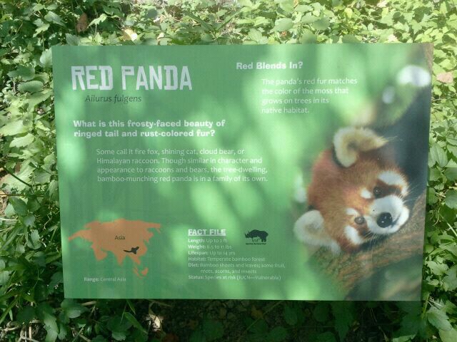 Jun. 2012-New Red Panda sign
