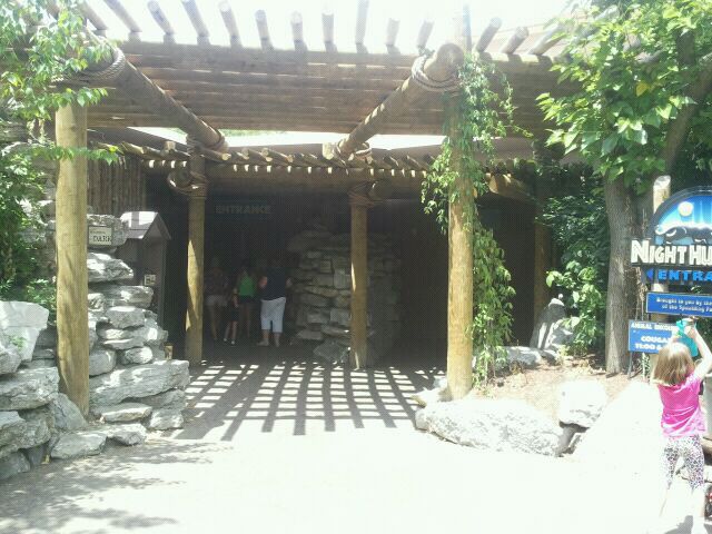 Jun. 2012-Night Hunters Entrance