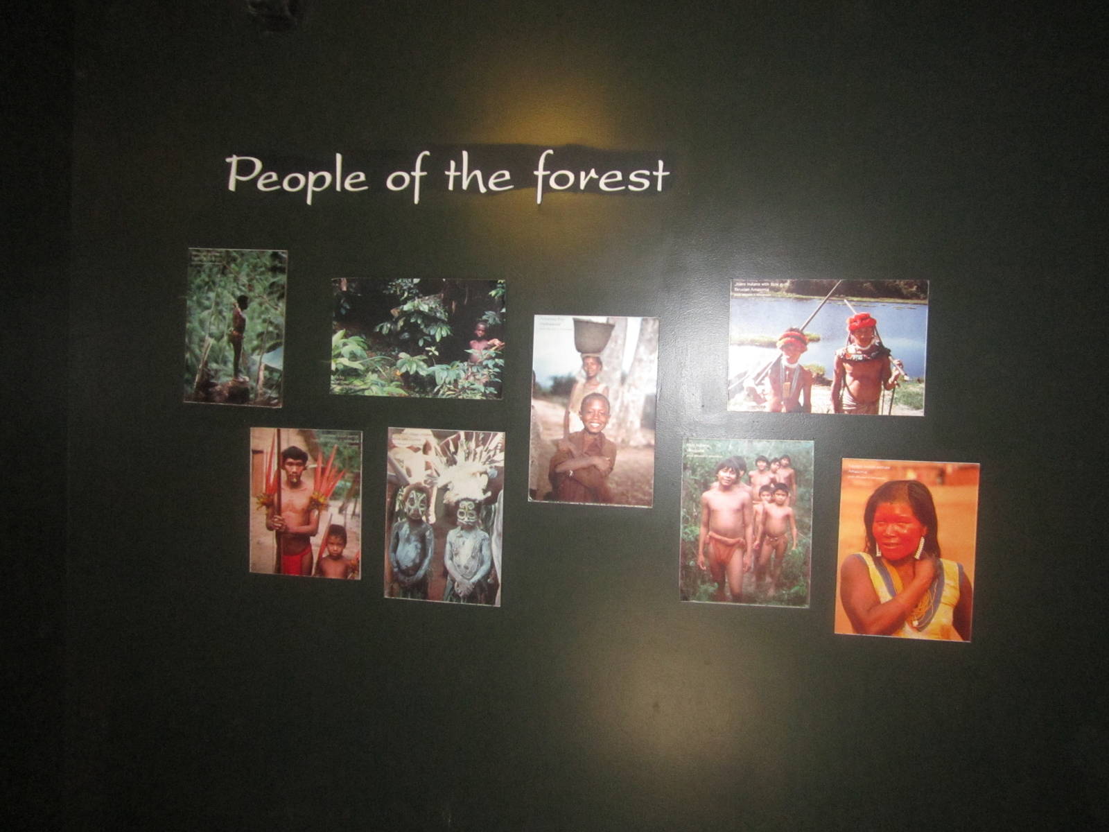 Jun. 2012-People of the Forest