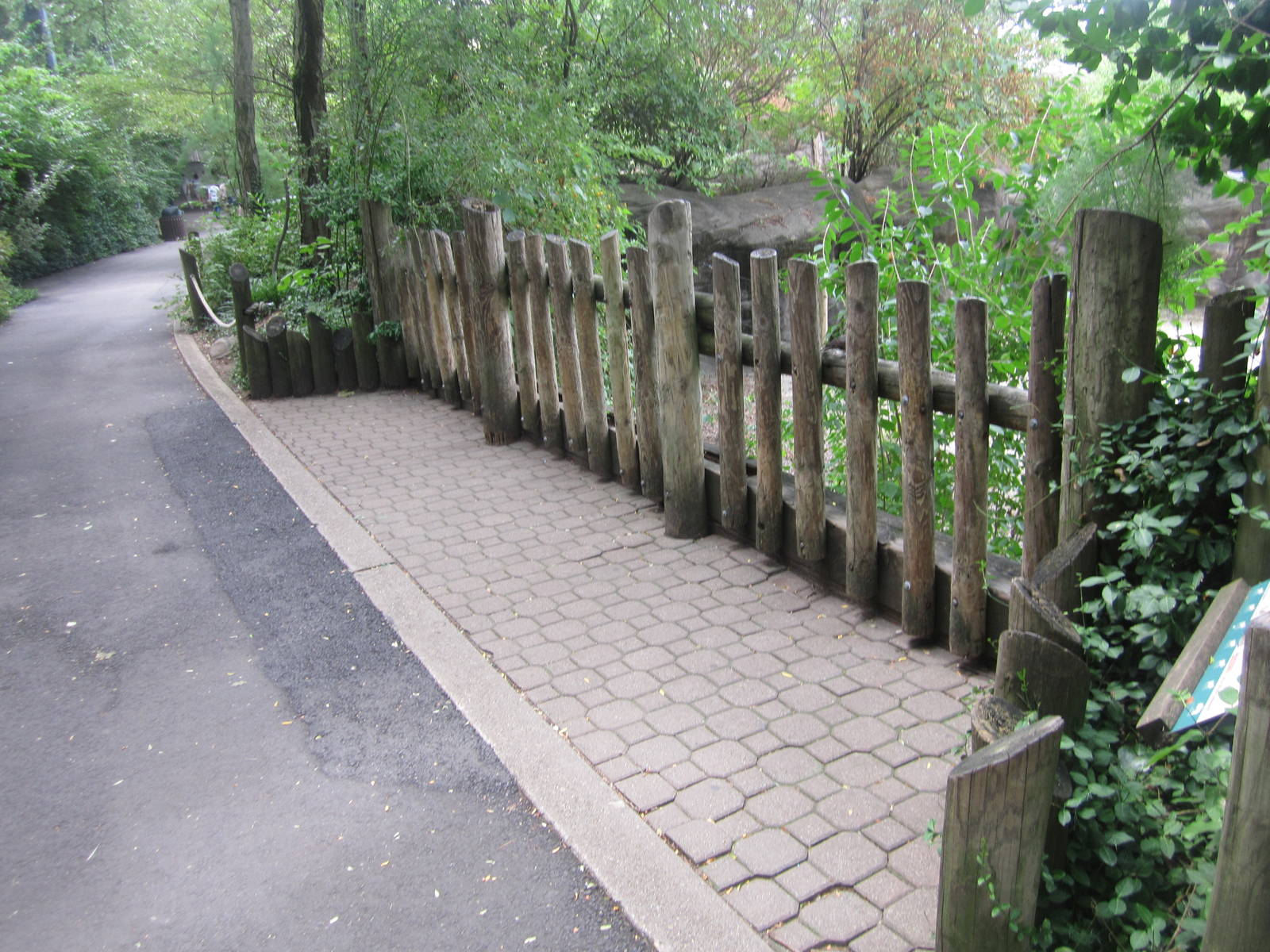 Jun. 2012-Przewalski's Horse exhibit viewing