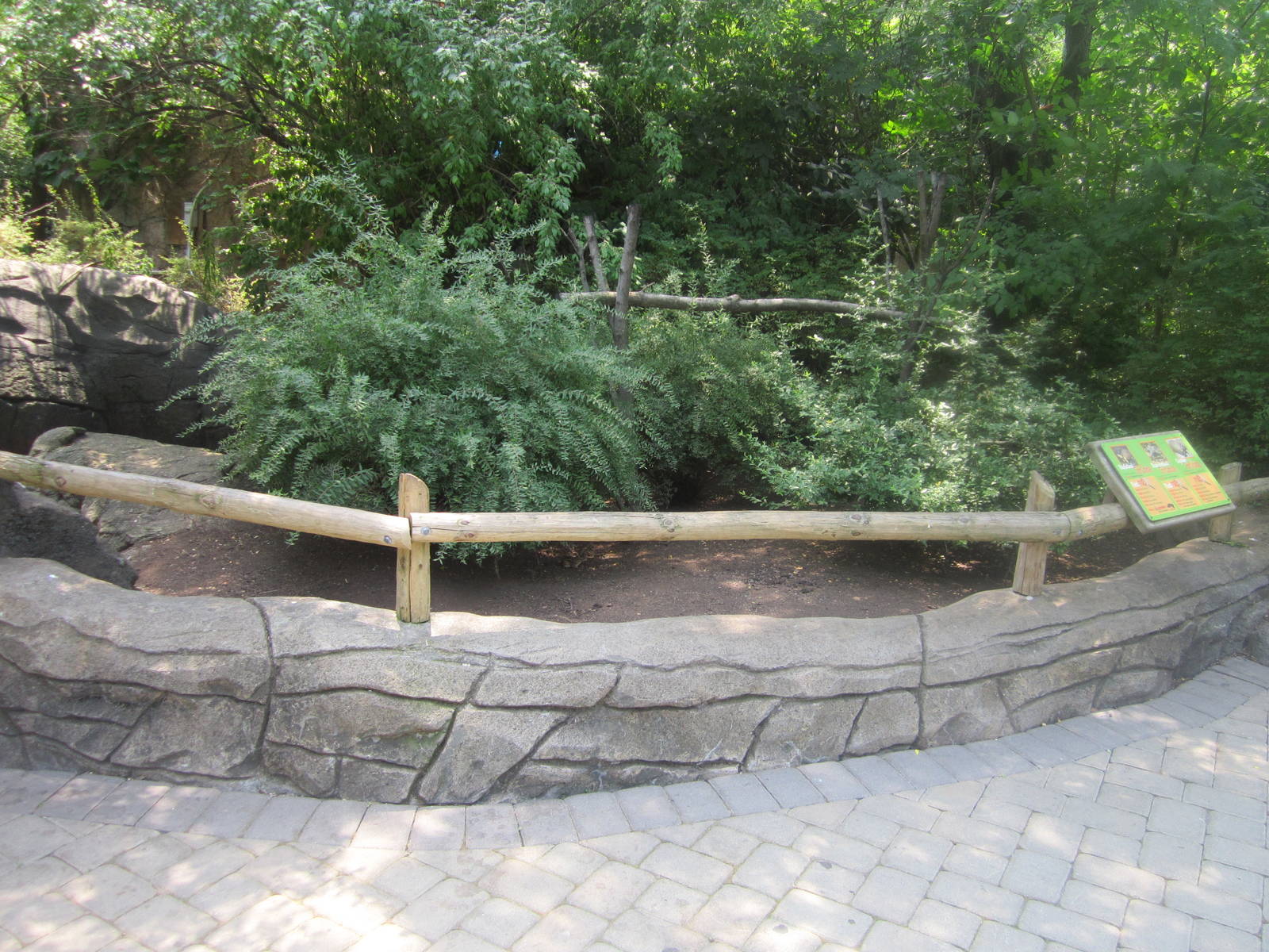 Jun. 2012-Radiated/Red-footed/Gopher Tortoise exhibit