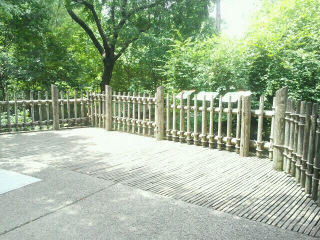 Jun. 2012-Red Panda exhibit viewings