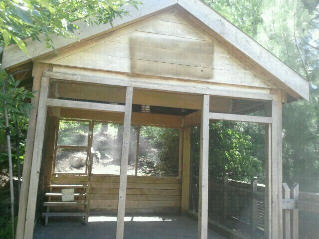 Jun. 2012-Red-tailed Hawk Aviary Shelter