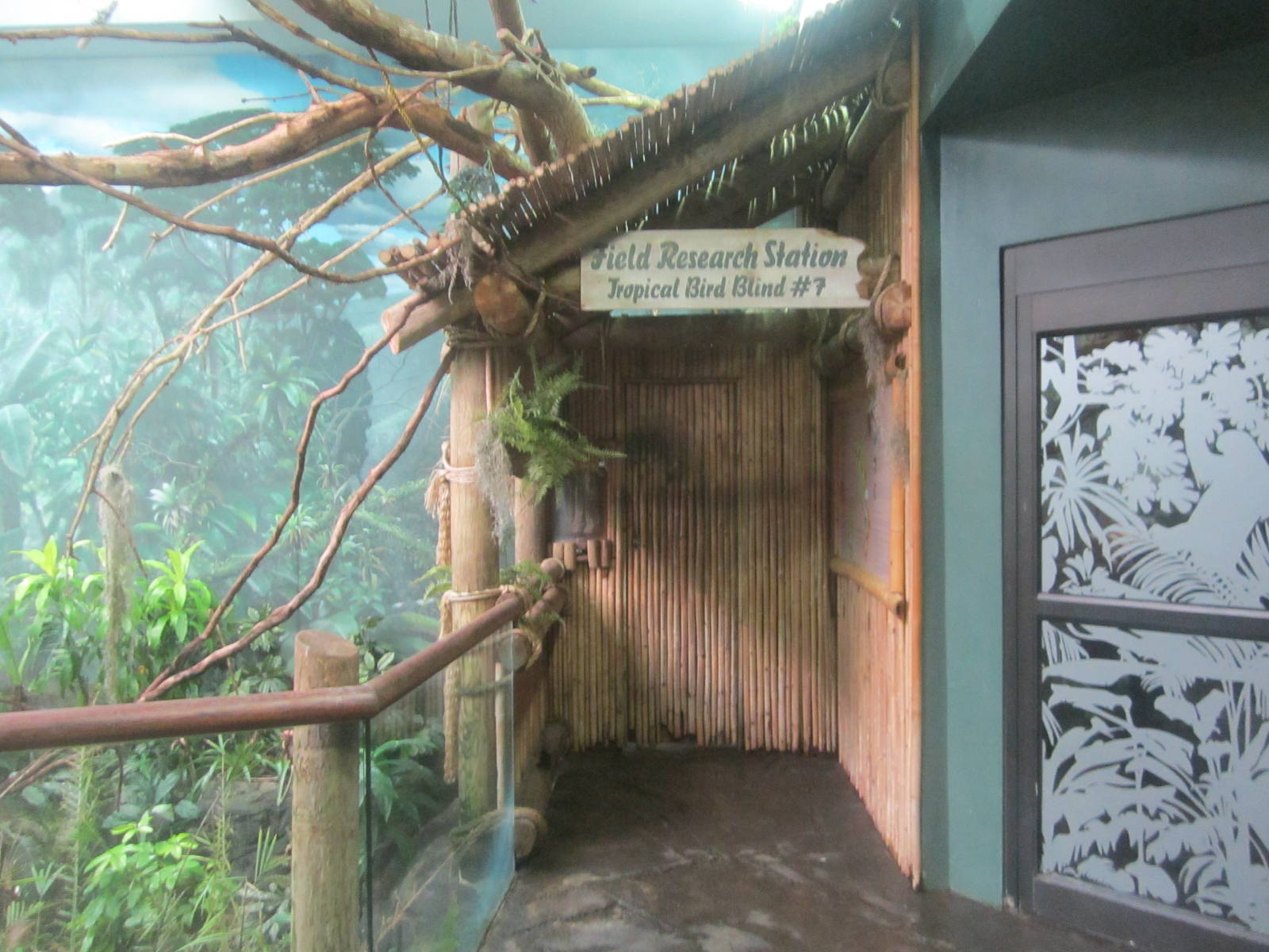 Jun. 2012-Research Shelter in the South American aviary