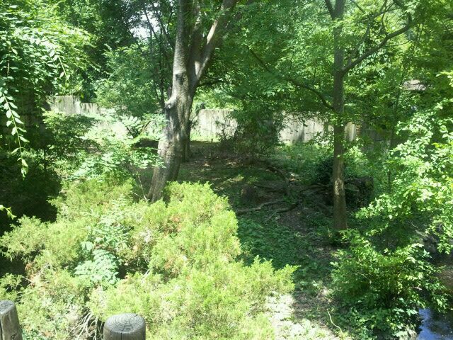 Jun. 2012-Right Red Panda exhibit