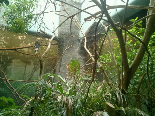 Jun. 2012-Right Side of Australasia