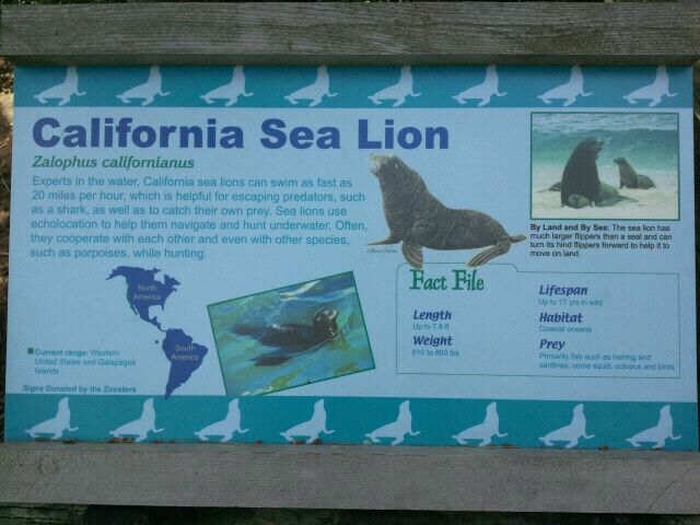 Jun. 2012-Sea lion sign