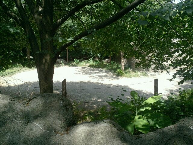 Jun. 2012-Second Indian Rhinoceros exhibit