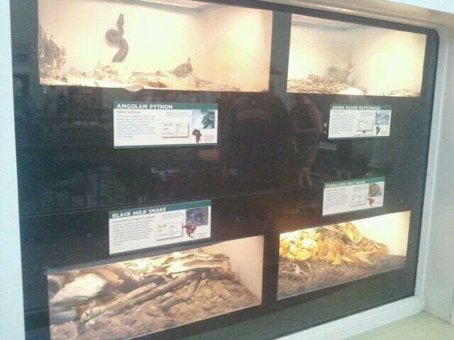 Jun. 2012-Snake exhibits