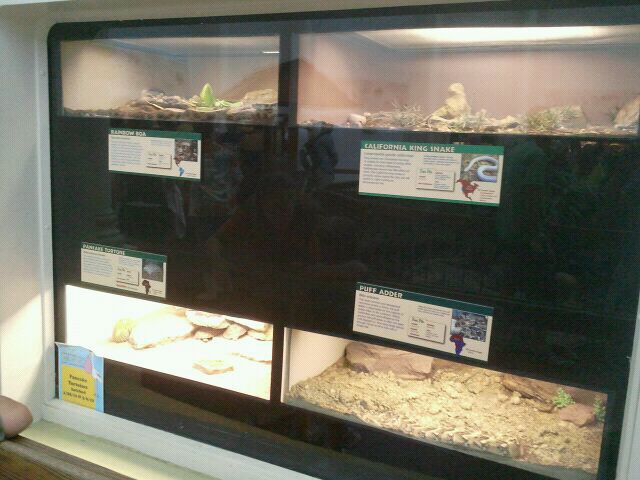 Jun. 2012-Snake/Tortoise exhibits