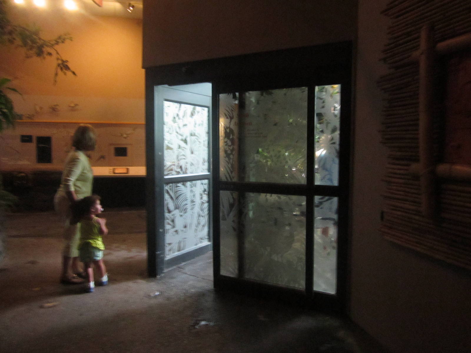 Jun. 2012-South America Entrance in Wings of the World.