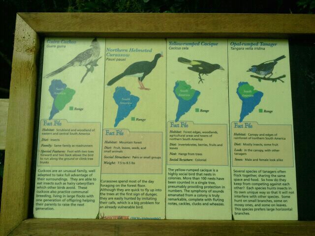 Jun. 2012-South American Bird Signs in Wings of the World (1)