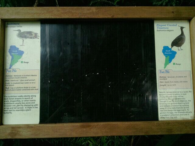 Jun. 2012-South American Bird Signs in Wings of the World (3)