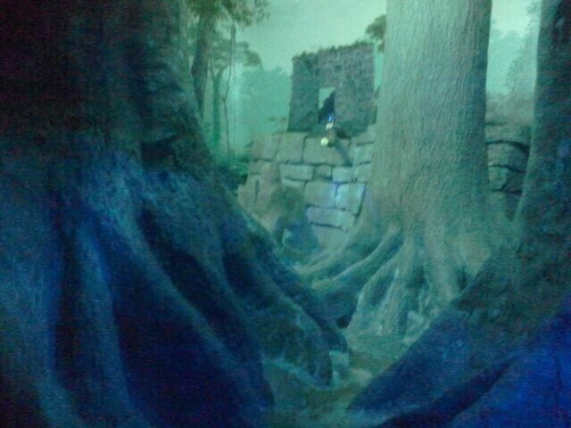 Jun. 2012-Southern Brazilian Ocelot exhibit (viewing 1)