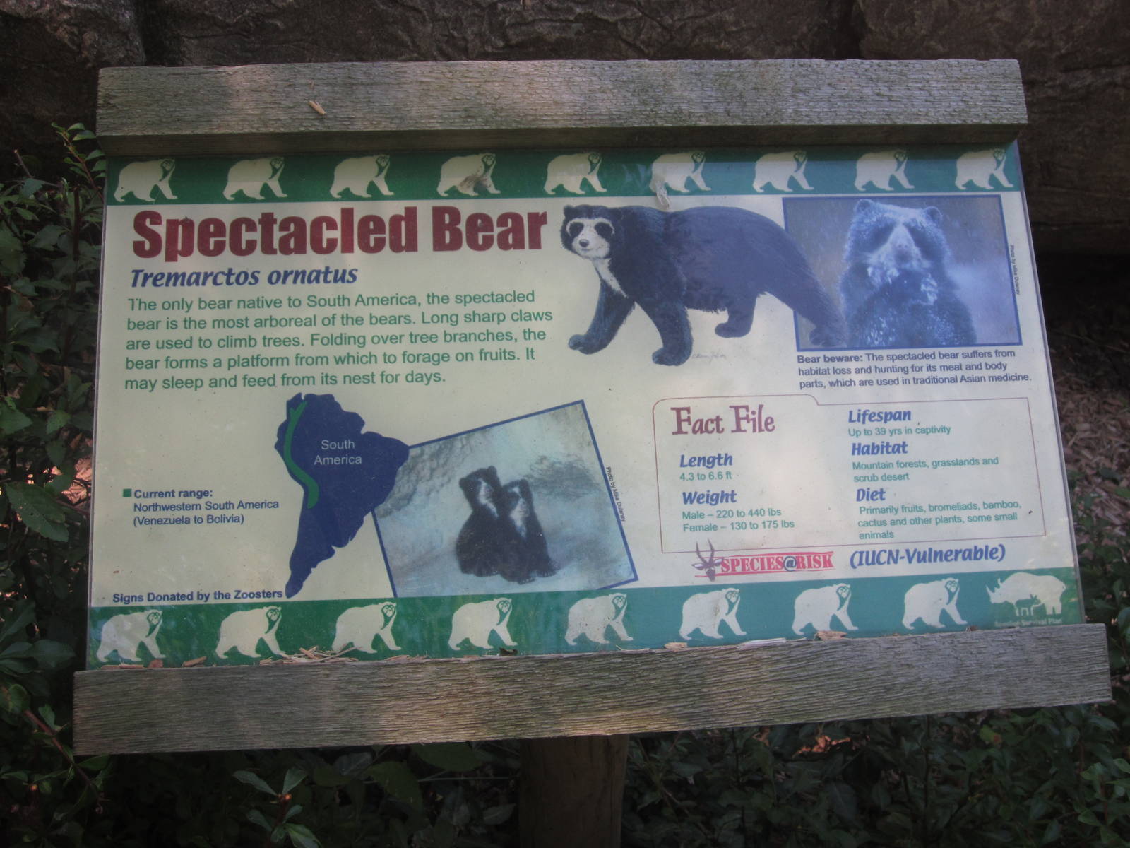 Jun. 2012-Spectacled bear sign
