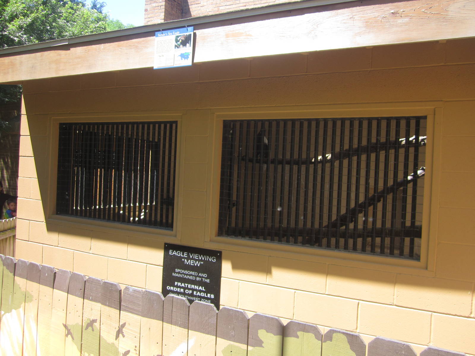 Jun. 2012-Steller's Sea Eagle Show Holding