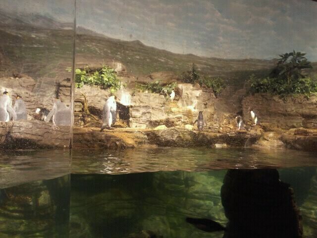 Jun. 2012-Sub-antarctic Coast