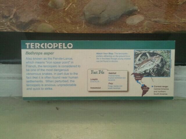 Jun. 2012-Terciopelo sign