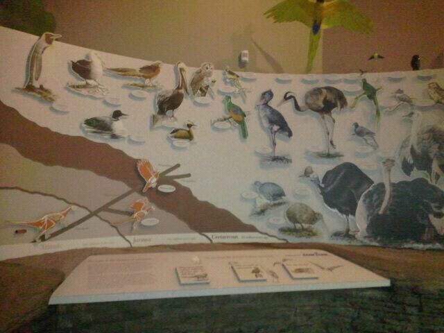 Jun. 2012-Wings of the World Entrance Signs