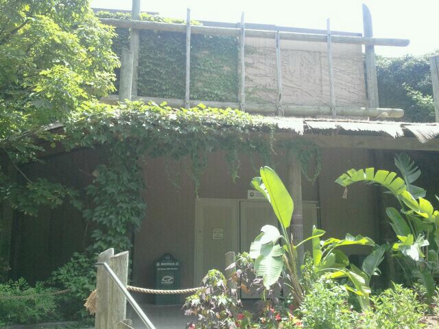 Jun. 2012-Wings of the World