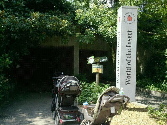 Jun. 2012-World of the Insect entrance