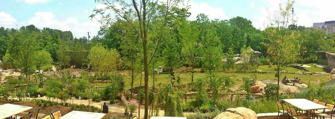 Jun. 2013 - Africa - Africa Plains + Vulture Island + Lion Exhibits