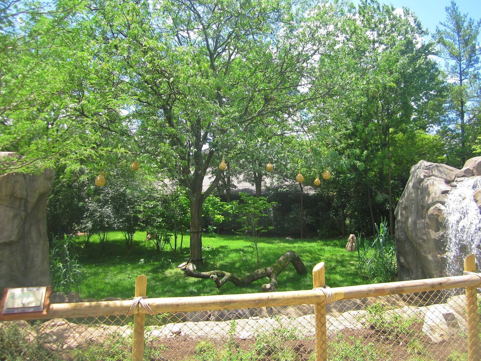 Jun. 2013 - Africa - New Cheetah Exhibit