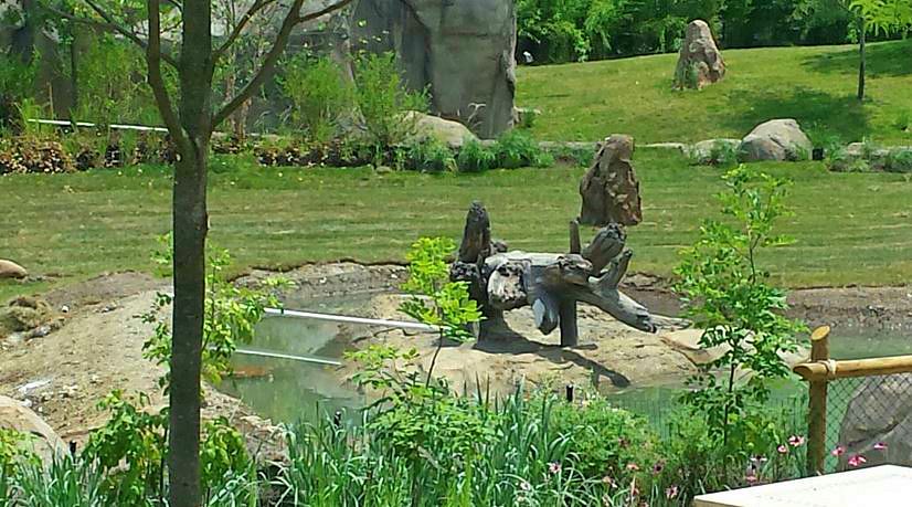 Jun. 2013 - Africa - Vulture Island