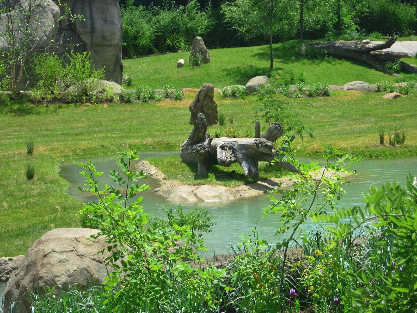 Jun. 2013 - Africa - Vulture Island