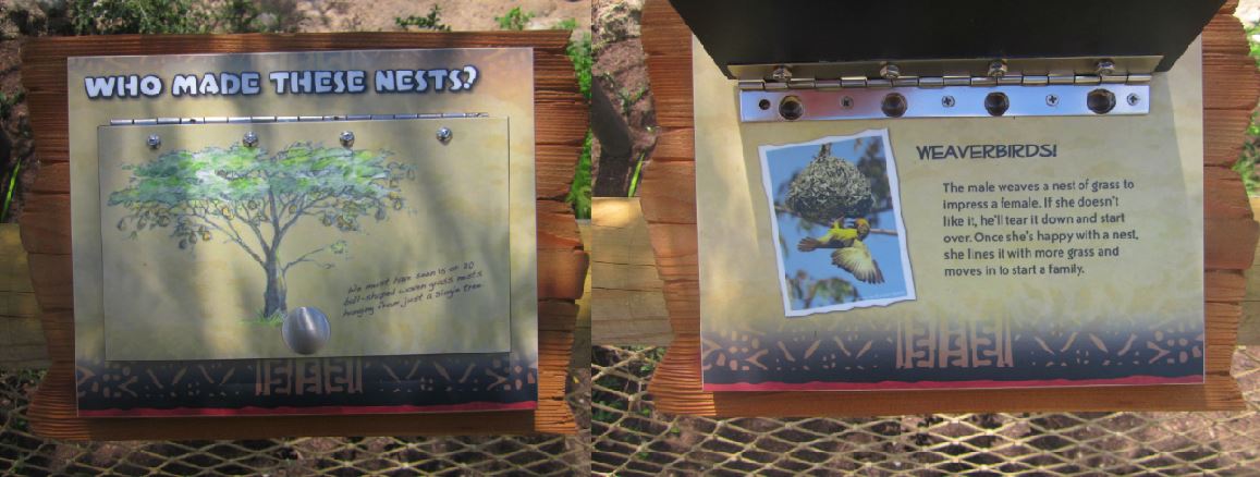 Jun. 2013 - Africa - Weaverbird Signs