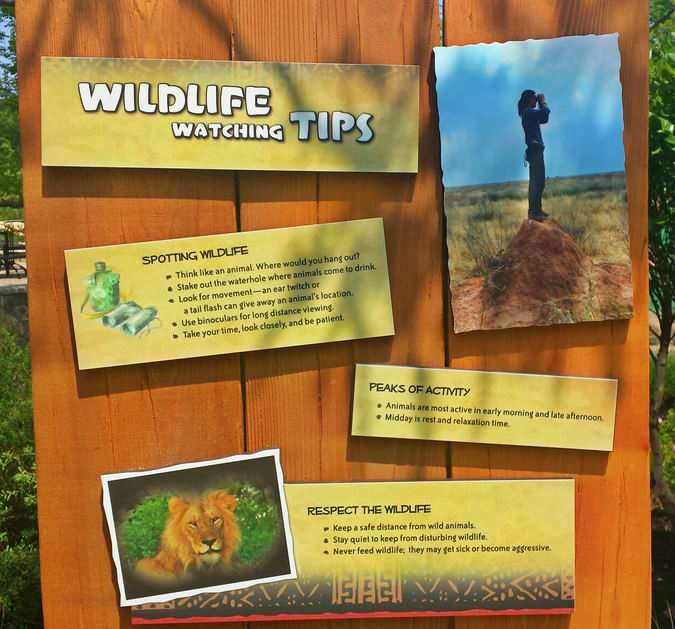 Jun. 2013 - Africa - Wildlife Watching Tips