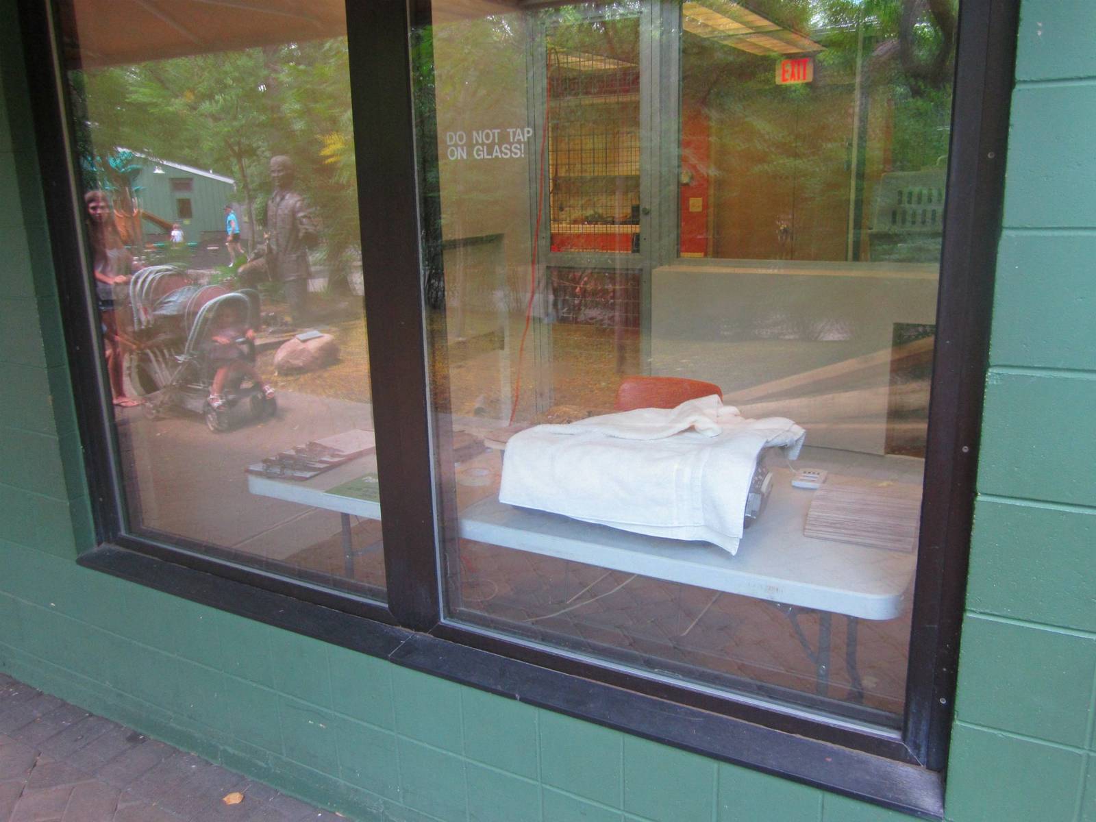 Jun. 2013 - Children's Zoo - Africa Pygmy Falcon Nursery