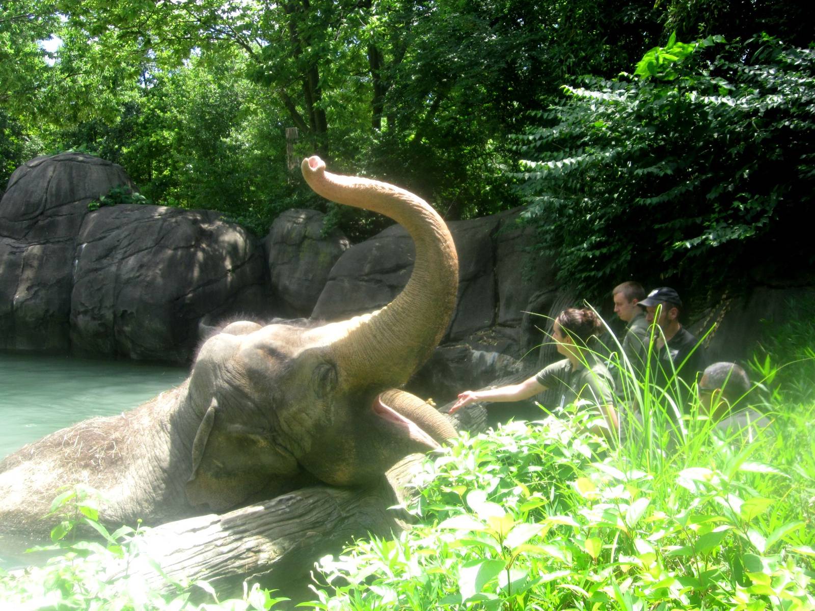 Jun. 2013 - Elephant Reserve - Elephant Bath