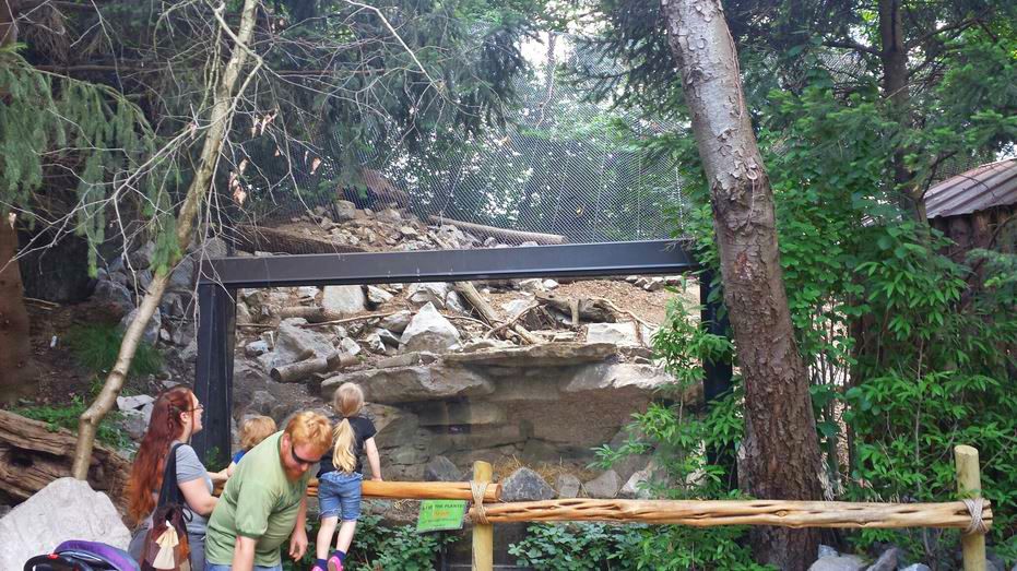 Jun. 2013 - Lords of the Arctic - Arctic Fox Exhibit