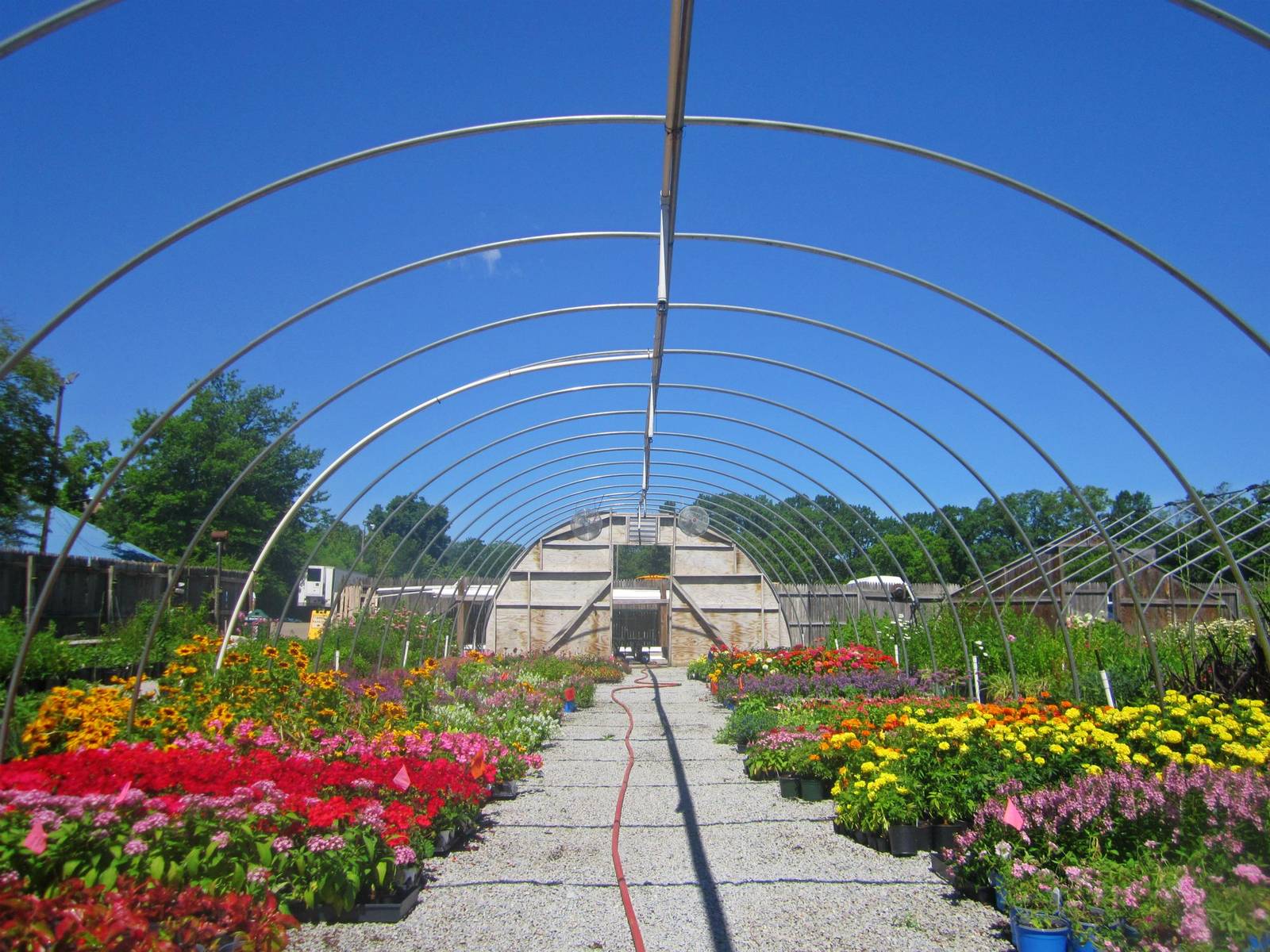 Jun. 2013 - Lower Plant Nusery