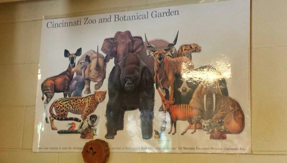 Jun. 2013 - Old Cincinnati Zoo Poster